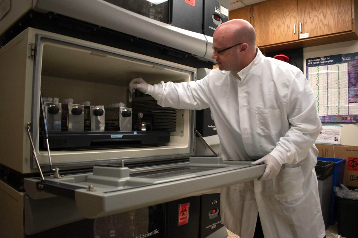 Hal Alper in his lab. Photo credit: Charlotte Keene.