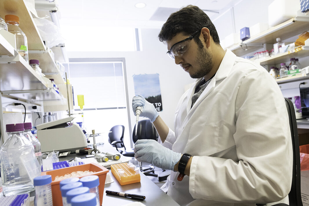 Former grad student Akaash Mishra in professor of molecular biosciences Jason McLellan lab. 