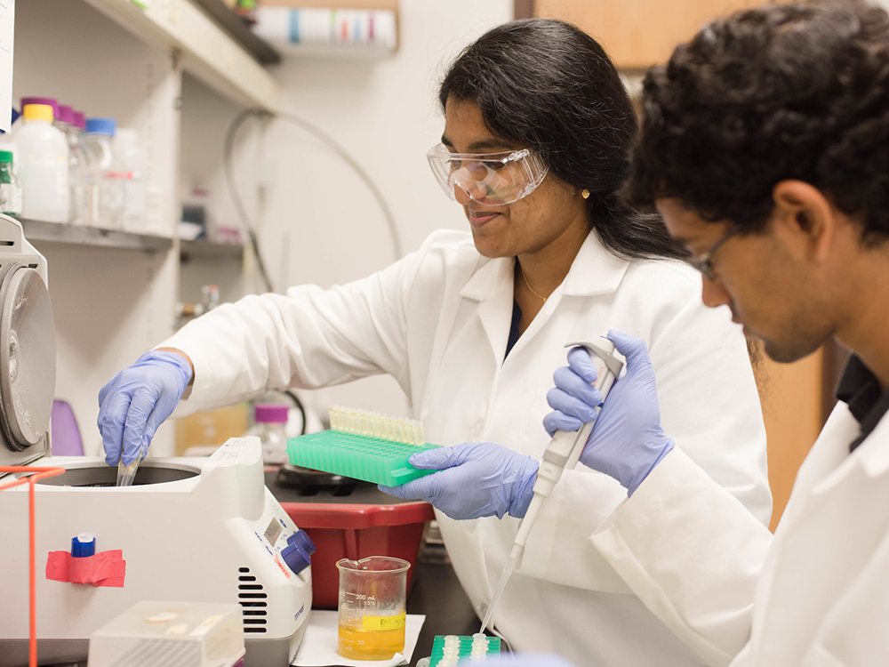 Two students in a lab with pipettes wearing lab coats