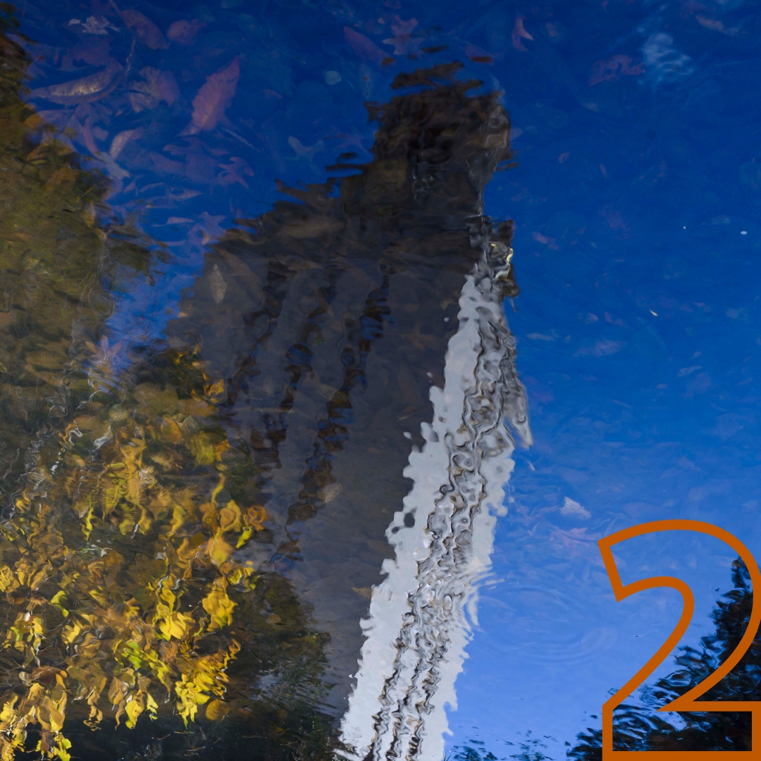 Reflection of UT Tower in water