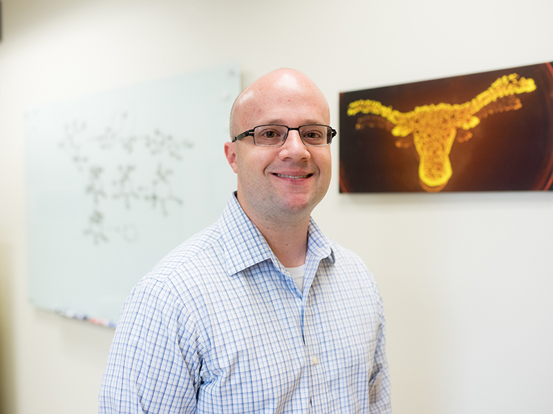 Texas Engineer Hal Alper